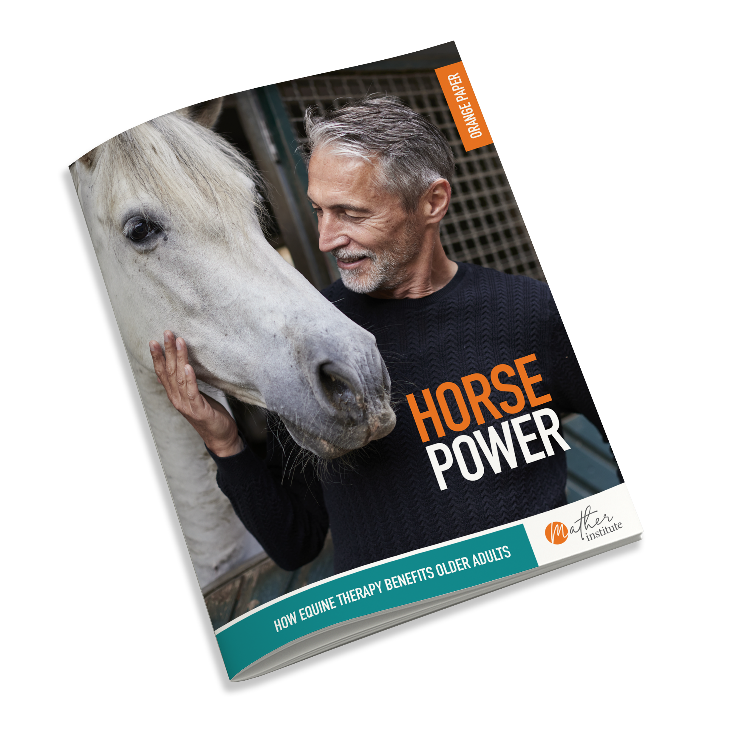 Equine Report